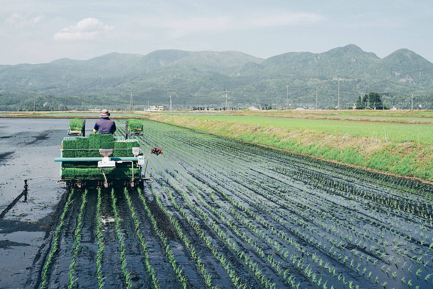 米作りの作業風景 – 株式会社只平